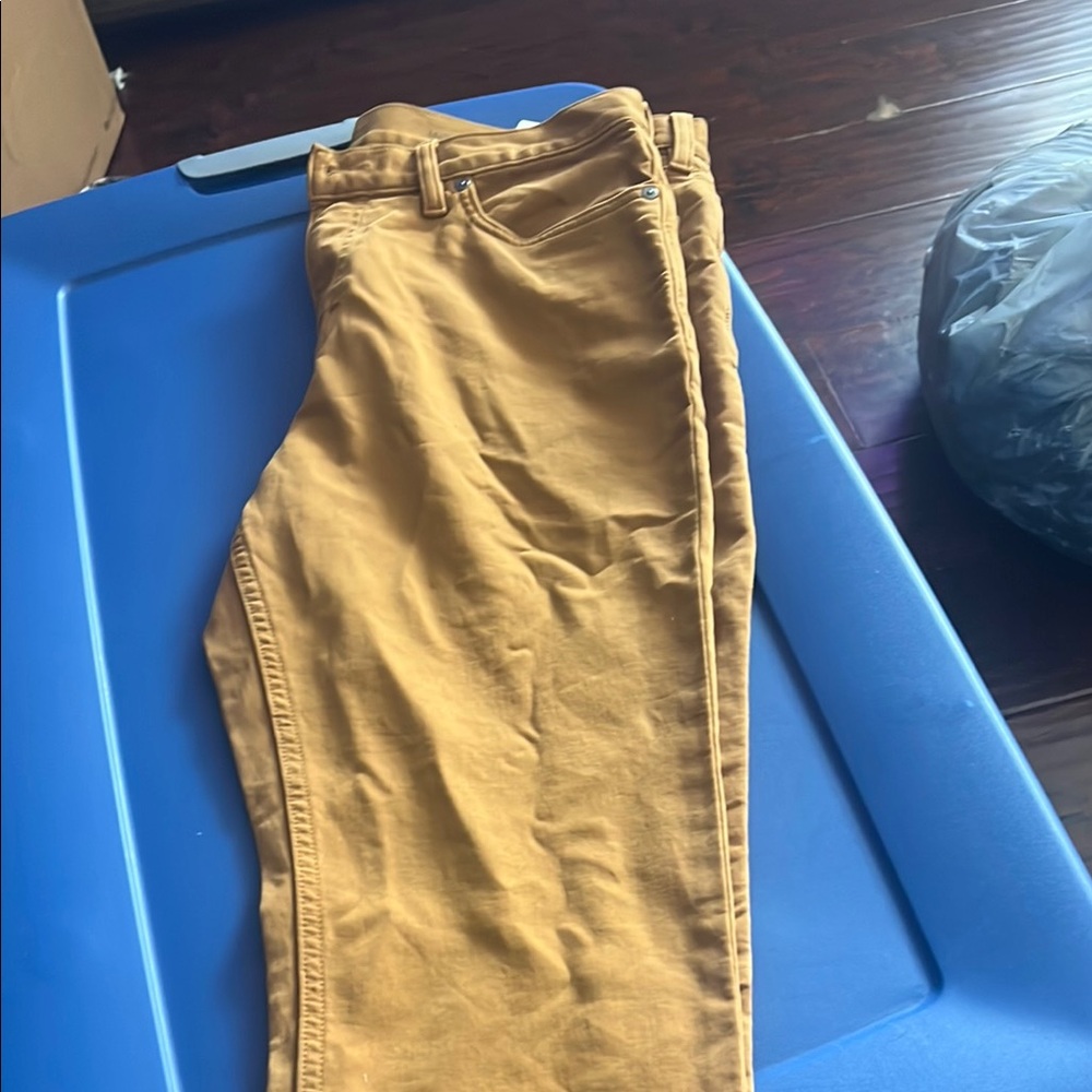 Stylish Mustard Yellow Pants